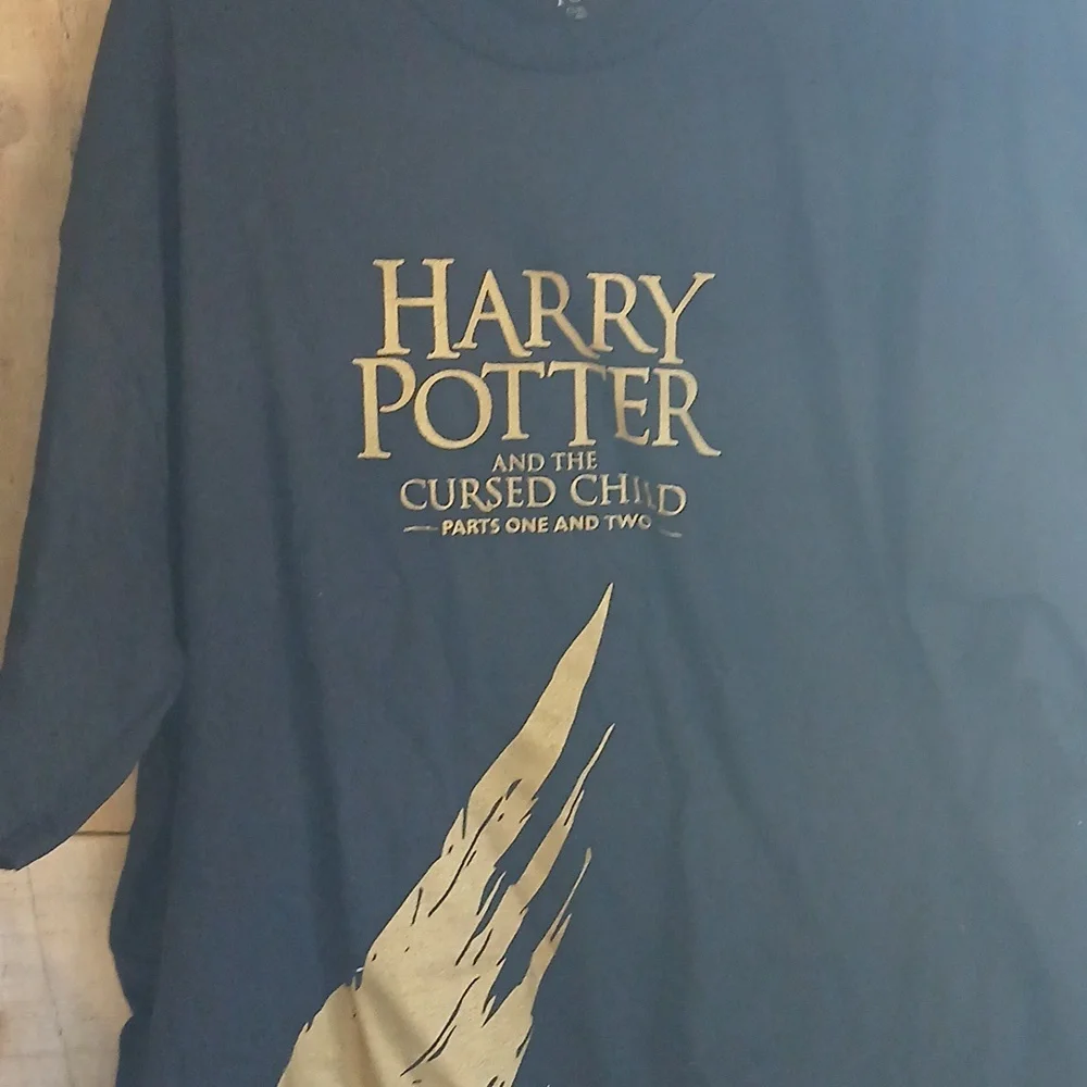 Harry Potter Black and Gold Graphic Tee - Picture 1 of 4